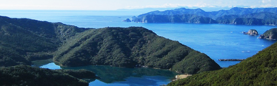 三重外湾漁業協同組合のイメージ